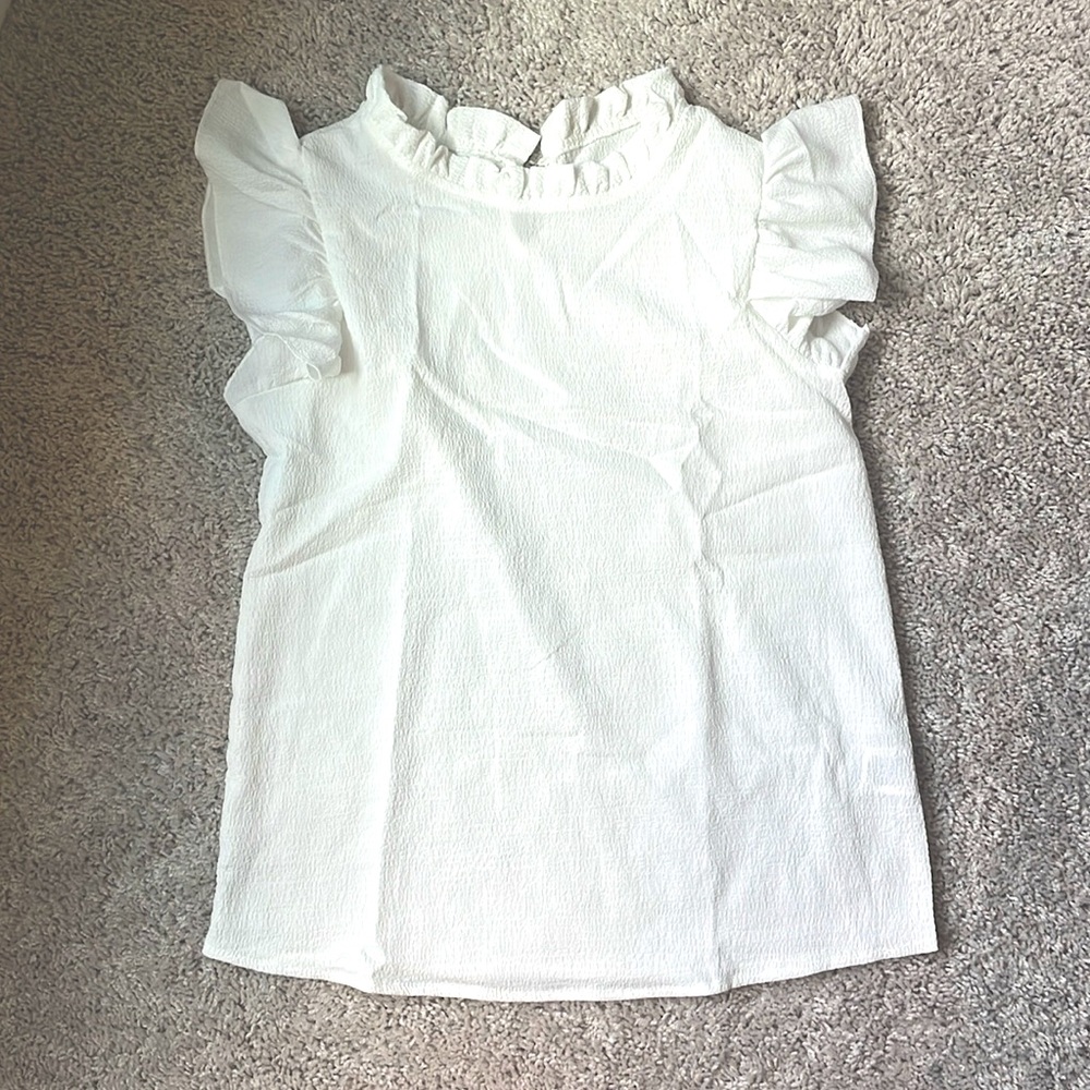 Ruffle Sleeve Blouse